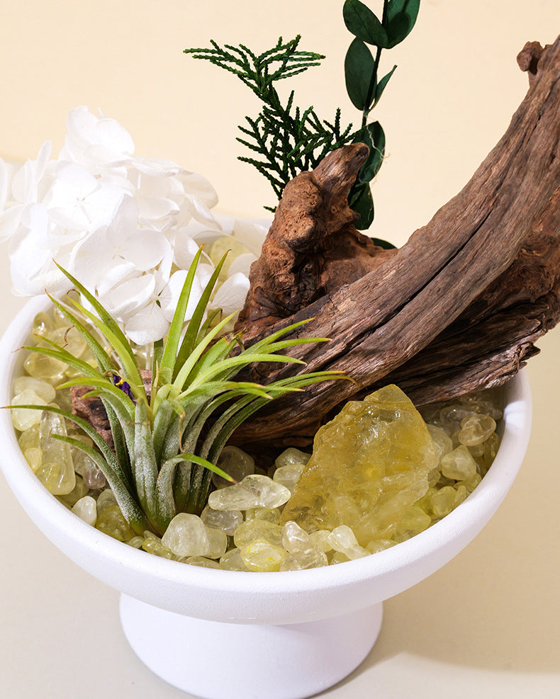 Natural Crystal & Petrified Wood Aromatherapy Diffuser Set for Relaxation, Energy & Home Decor