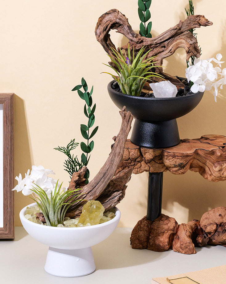 Natural Crystal & Petrified Wood Aromatherapy Diffuser Set for Relaxation, Energy & Home Decor
