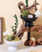 Natural Crystal & Petrified Wood Aromatherapy Diffuser Set for Relaxation, Energy & Home Decor