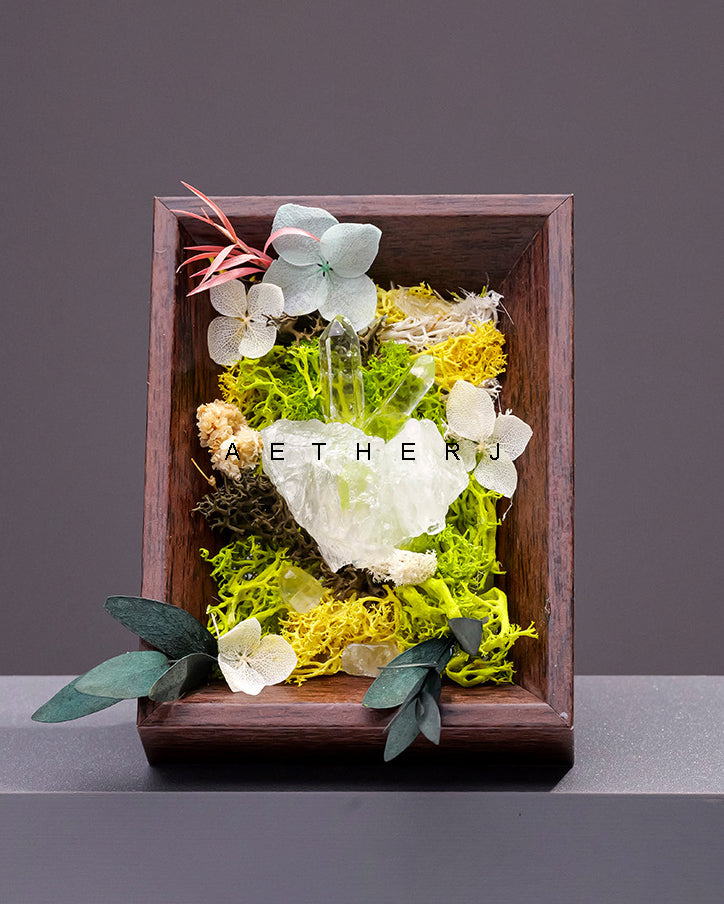 Raw Crystal & Preserved Flower Shadow Box – Fossil, Amethyst, Quartz or Rose