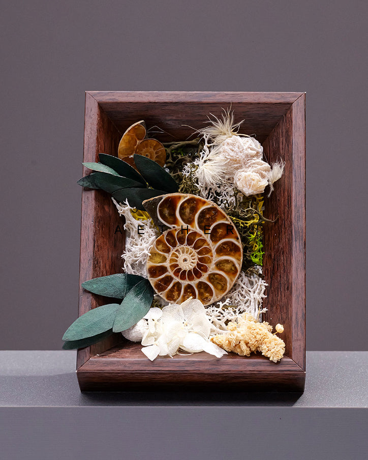 Raw Crystal & Preserved Flower Shadow Box – Fossil, Amethyst, Quartz or Rose